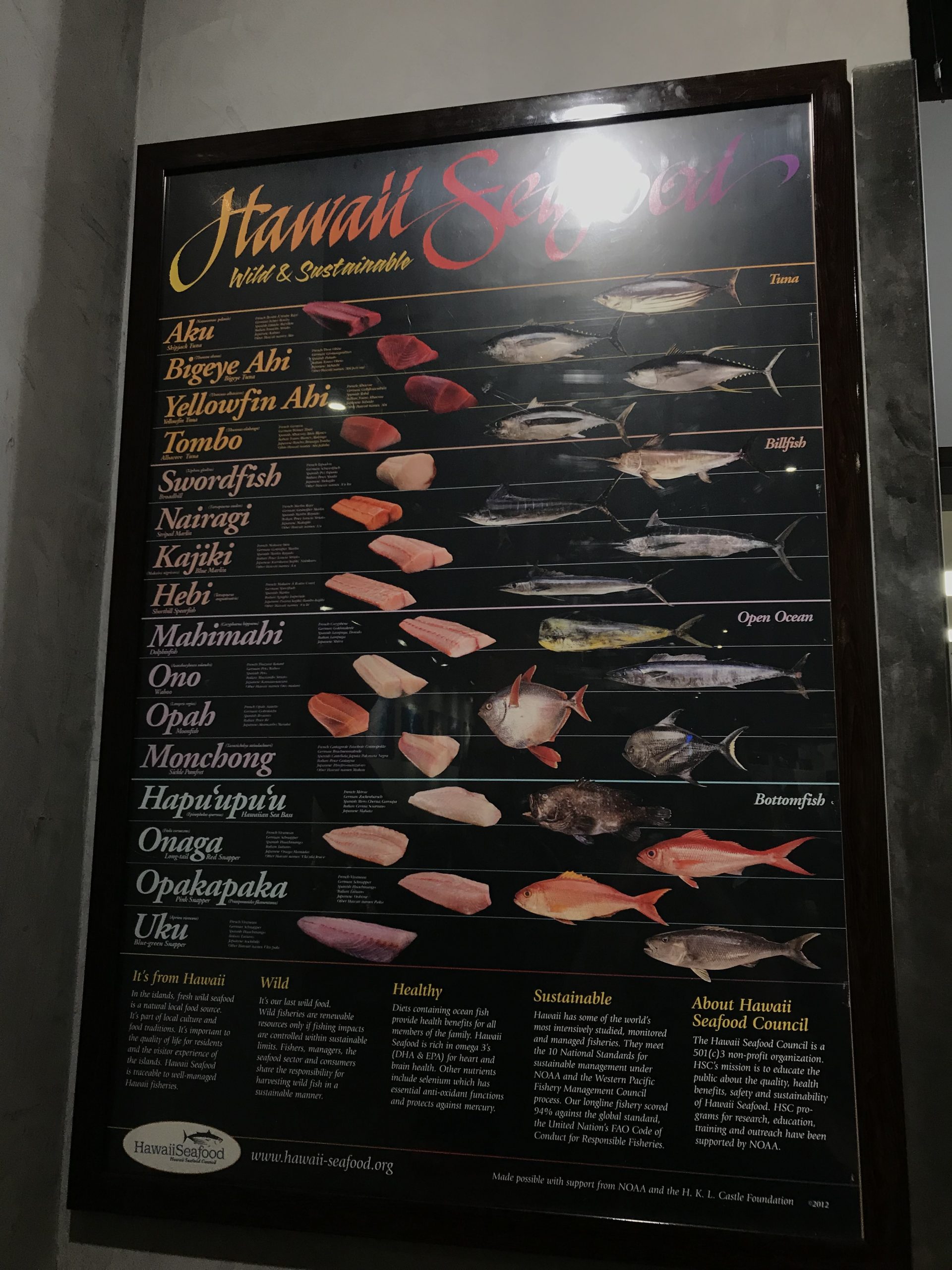 Onde comer em Waikiki (Hawaii) Paia Fish Market Juny Pelo Mundo